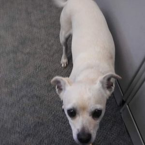 Meet your Posher, Tina